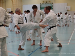 2017-10-08-bertel-dojo-0690