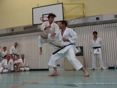2017-10-08-bertel-dojo-0717