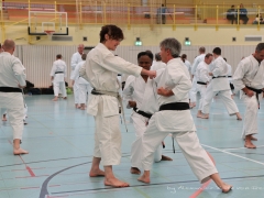 2017-10-08-bertel-dojo-0761