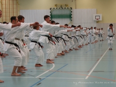 2017-10-08-bertel-dojo-0770
