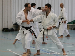 2017-10-08-bertel-dojo-0796