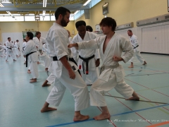 2017-10-08-bertel-dojo-0912