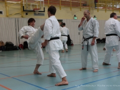 2017-10-08-bertel-dojo-0925