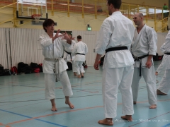 2017-10-08-bertel-dojo-0931