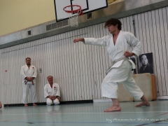 2017-10-08-bertel-dojo-0953