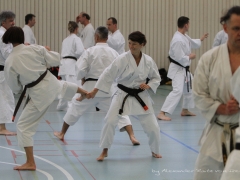 2017-10-08-bertel-dojo-1119