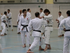 2017-10-08-bertel-dojo-1169