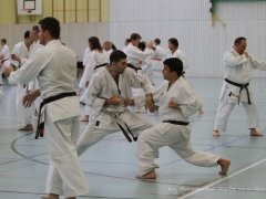 2017-10-08-bertel-dojo-1174