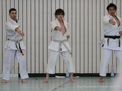 2017-10-08-bertel-dojo-1198