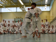 2017-10-08-bertel-dojo-1214