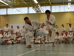 2017-10-08-bertel-dojo-1237