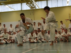 2017-10-08-bertel-dojo-1252