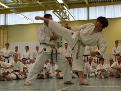 2017-10-08-bertel-dojo-1271