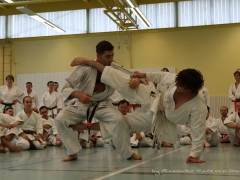 2017-10-08-bertel-dojo-1281