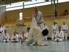 2017-10-08-bertel-dojo-1290