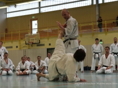 2017-10-08-bertel-dojo-1293