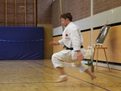 2015-07-25-andre-bertel-1486