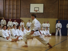 2015-07-25-andre-bertel-1501