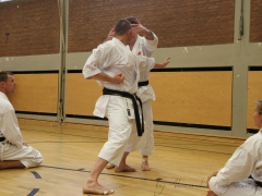 2015-07-25-andre-bertel-1520