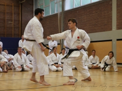 2015-07-25-andre-bertel-1584