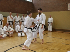 2015-07-25-andre-bertel-1709