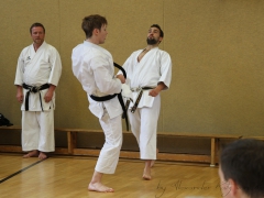 2015-07-25-andre-bertel-1738