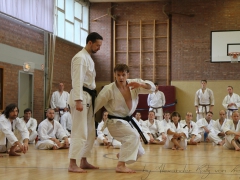 2015-07-25-andre-bertel-1795