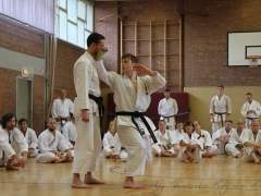 2015-07-25-andre-bertel-1796