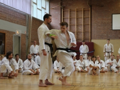 2015-07-25-andre-bertel-1804