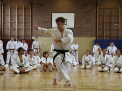 2015-07-25-andre-bertel-1835