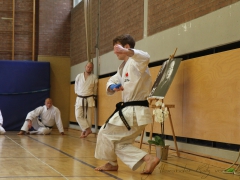 2015-07-25-andre-bertel-1864