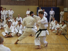 2015-07-25-andre-bertel-1873