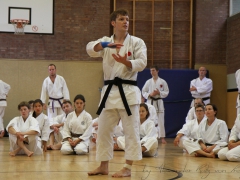 2015-07-25-andre-bertel-1885