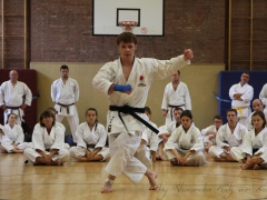 2015-07-25-andre-bertel-1887