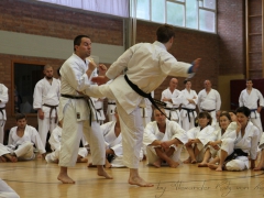 2015-07-25-andre-bertel-1907