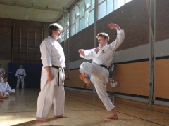 2015-07-25-andre-bertel-1998