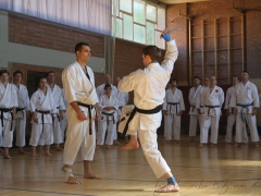 2015-07-25-andre-bertel-2008