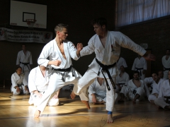 2015-07-25-andre-bertel-2030