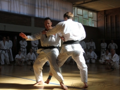 2015-07-25-andre-bertel-2048