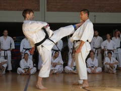 2015-07-25-andre-bertel-2066