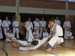 2015-07-25-andre-bertel-2097