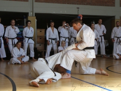 2015-07-25-andre-bertel-2103