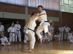 2015-07-25-andre-bertel-2112