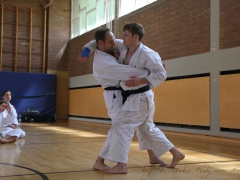 2015-07-25-andre-bertel-2187