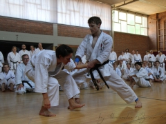 2015-07-25-andre-bertel-2203