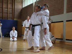 2015-07-25-andre-bertel-2221