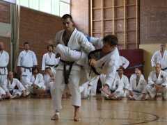 2015-07-25-andre-bertel-2225