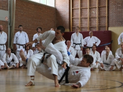 2015-07-25-andre-bertel-2227