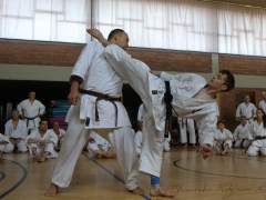 2015-07-25-andre-bertel-2249