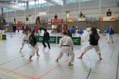 Deutsche Jugendmeisterschaft 2011